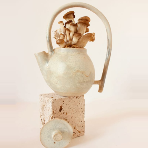 Atelier Terrane - créateur Beau Commun