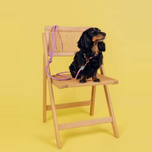 Studio Lulu - créateur Beau Commun